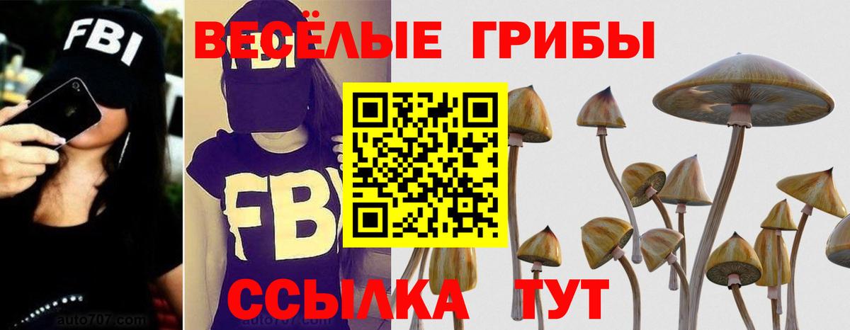 Шелехов  Псилоцибиновые грибы Psilocybine cubensis  Вход с VPN 