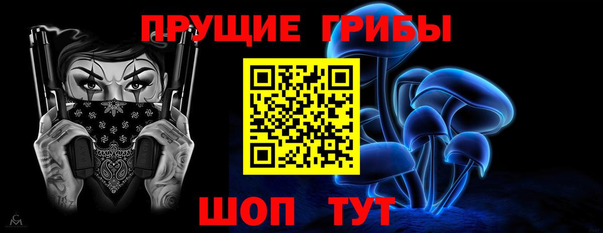 Псилоцибиновые грибы GOLDEN TEACHER Шелехов